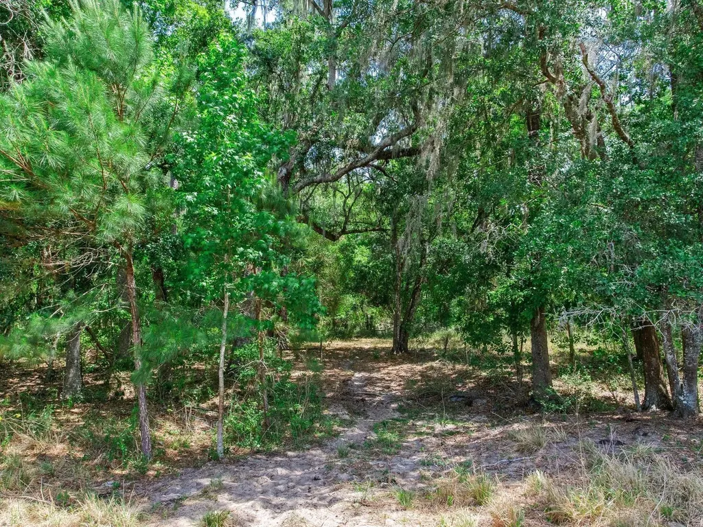 Spring Lake Highway Brooksville FL 34602