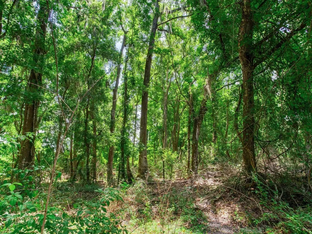 Spring Lake Highway Brooksville FL 34602