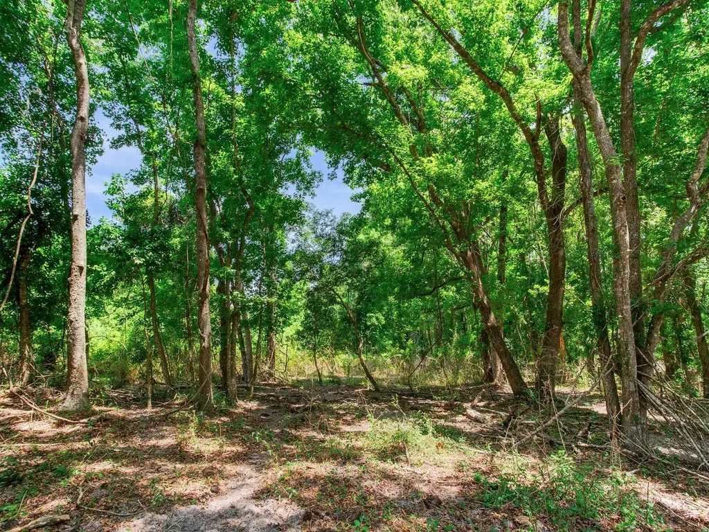 Spring Lake Highway Brooksville FL 34602