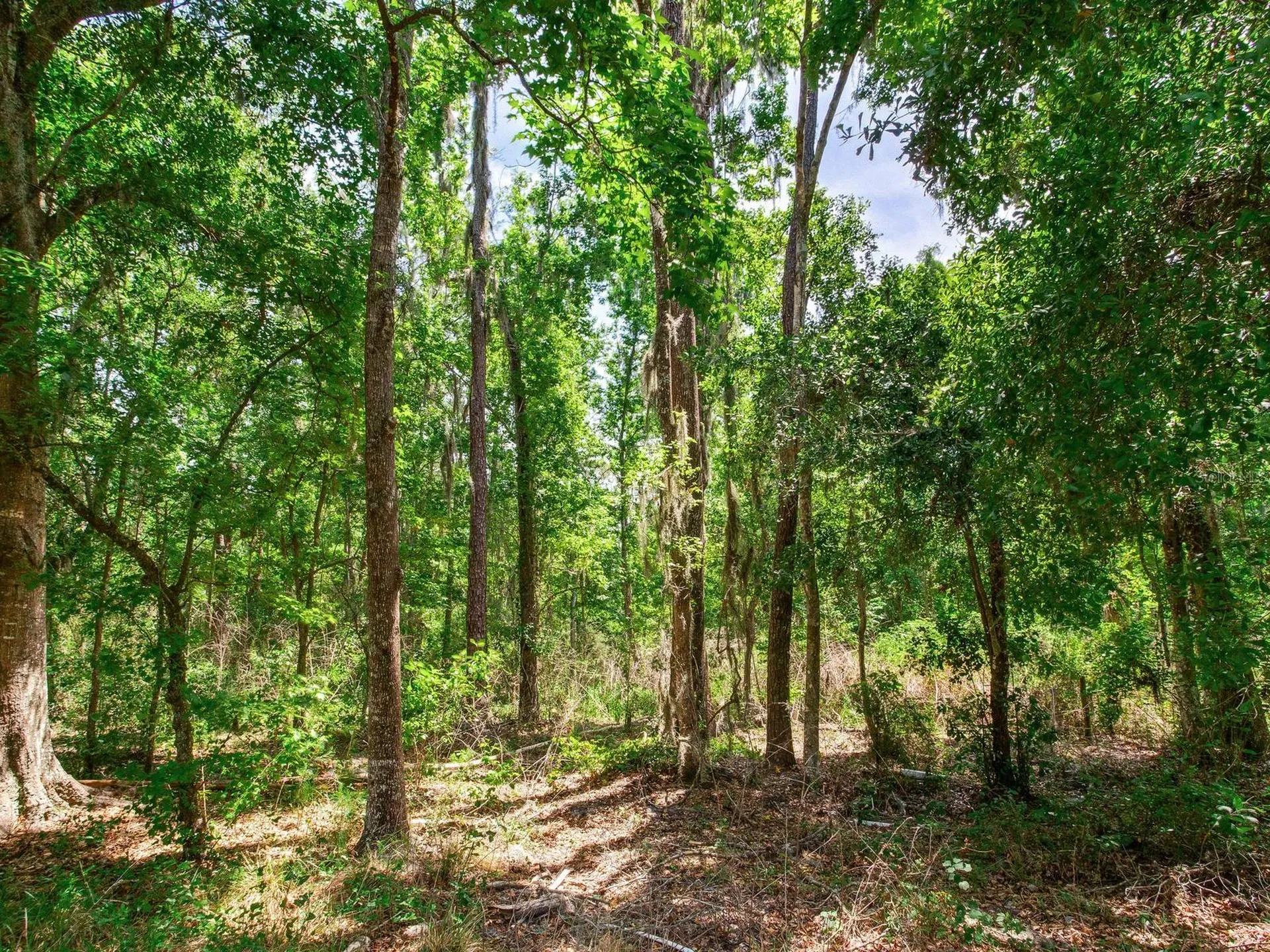 Spring Lake Highway Brooksville FL 34602