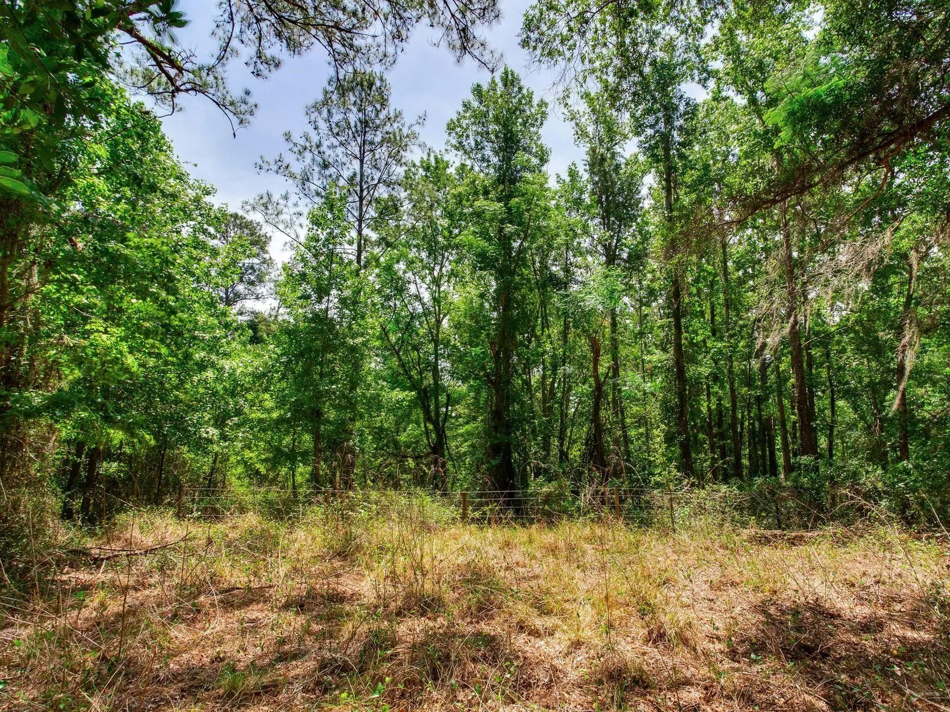Spring Lake Highway Brooksville FL 34602