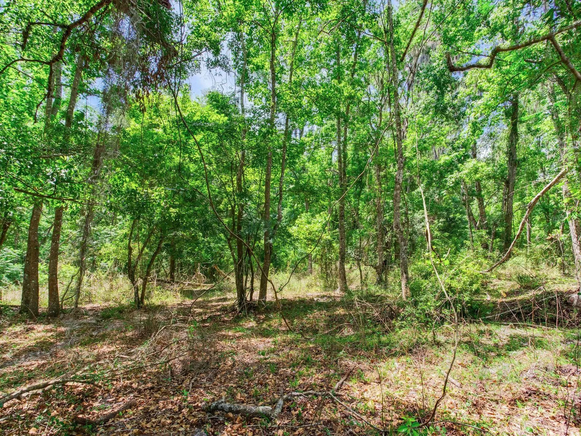 Spring Lake Highway Brooksville FL 34602