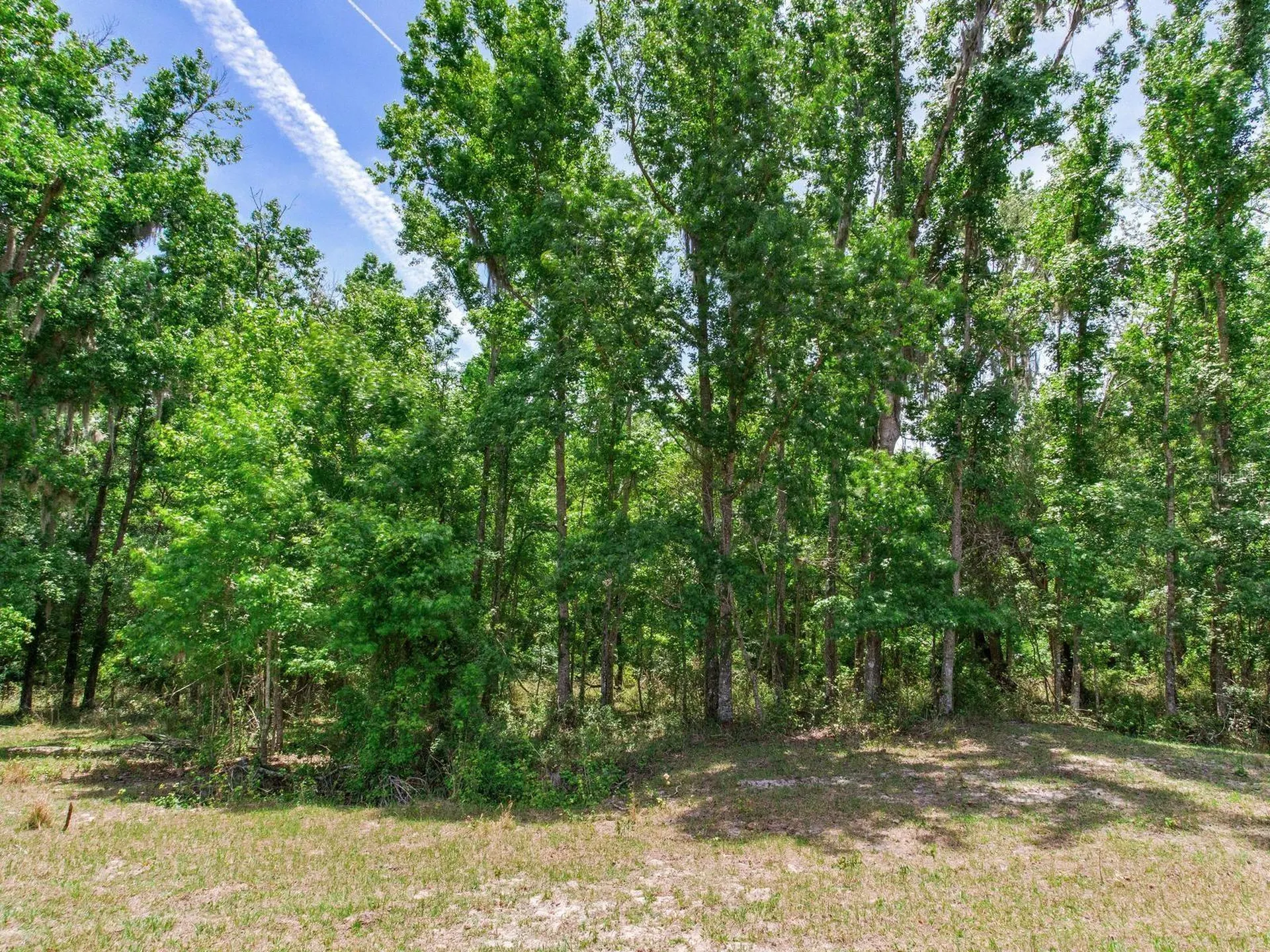 Spring Lake Highway Brooksville FL 34602