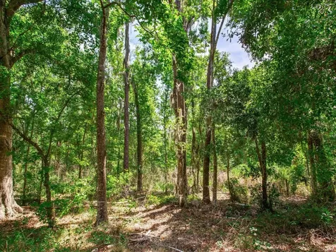 Spring Lake Highway Brooksville FL 34602