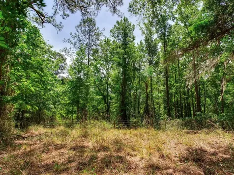 Spring Lake Highway Brooksville FL 34602
