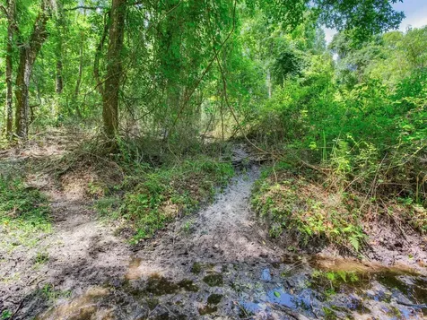 Spring Lake Highway Brooksville FL 34602