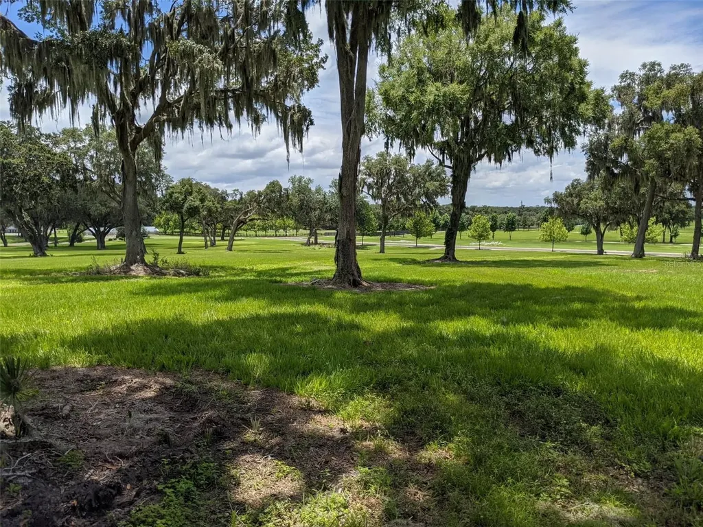 Lot 25 SE 159th Lane Summerfield FL 34491