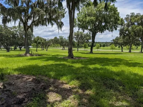 Lot 25 SE 159th Lane Summerfield FL 34491