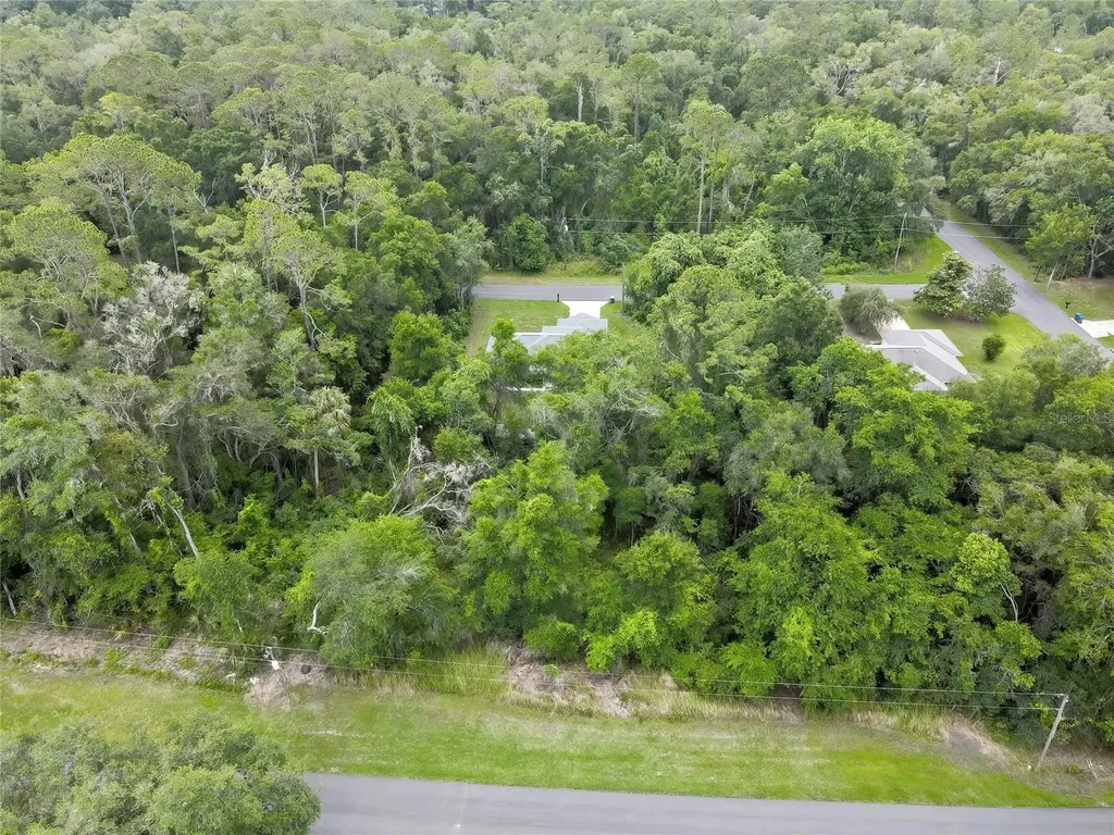 1048 W Maximilian Place Citrus Springs FL 34434