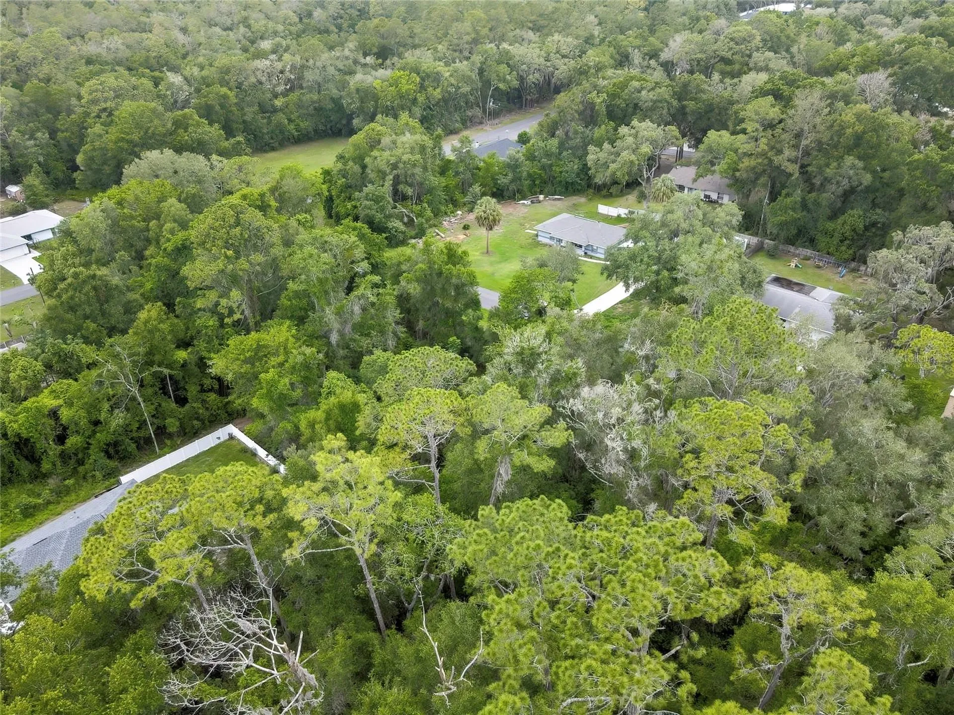 1048 W Maximilian Place Citrus Springs FL 34434