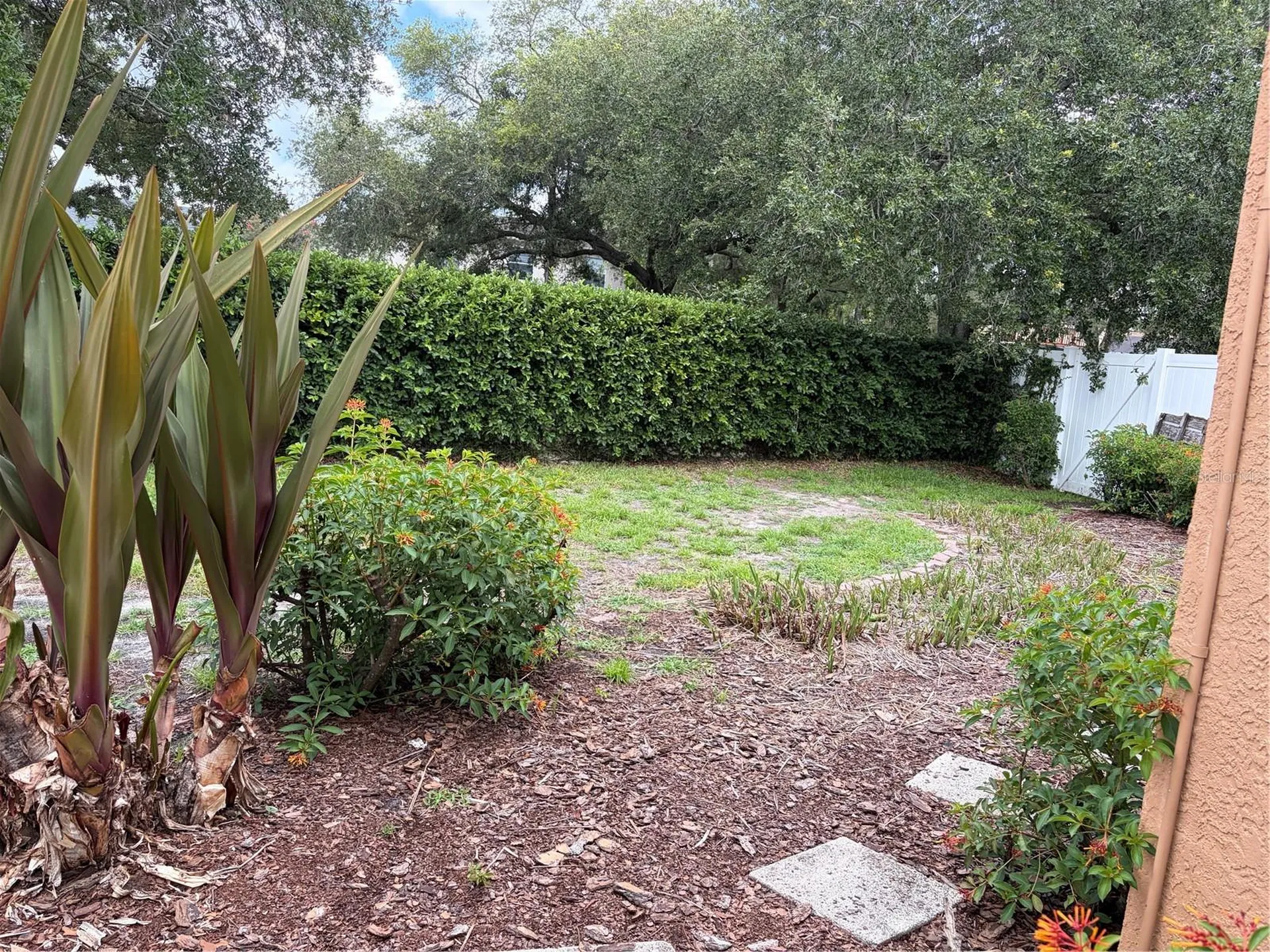 11516 Whispering Hollow Drive Tampa FL 33635