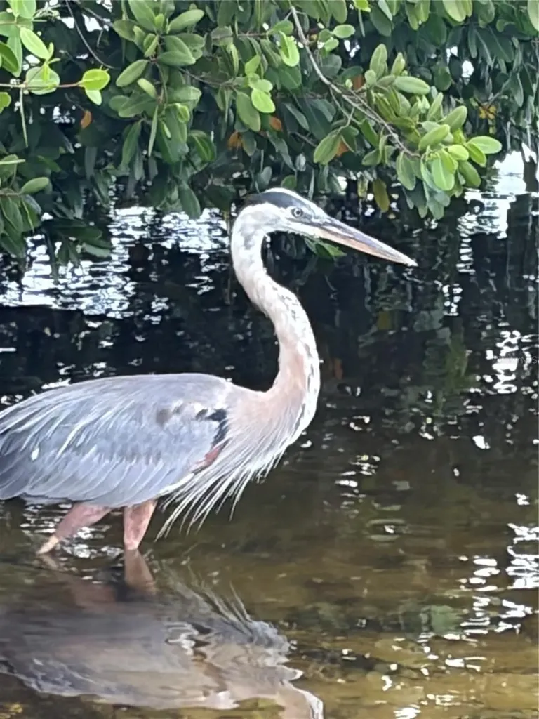 4300 Riverside Drive Punta Gorda FL 33982
