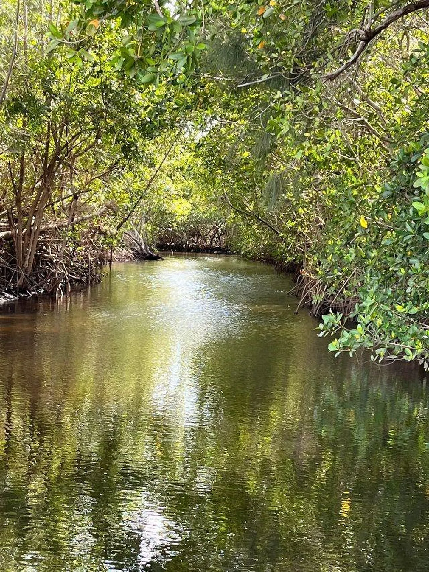4300 Riverside Drive Punta Gorda FL 33982