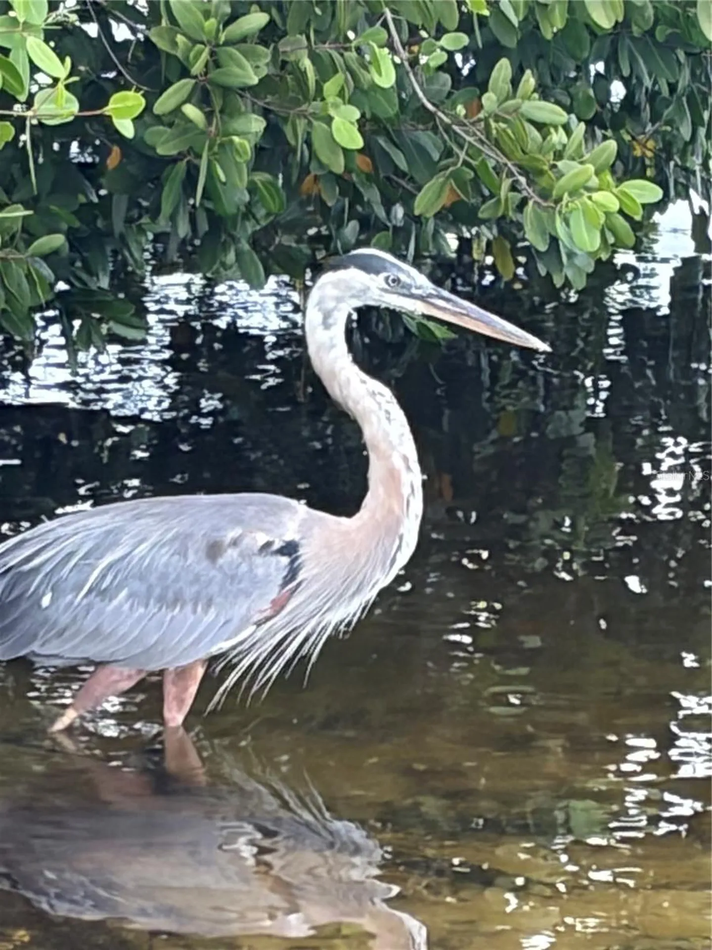 4300 Riverside Drive Punta Gorda FL 33982