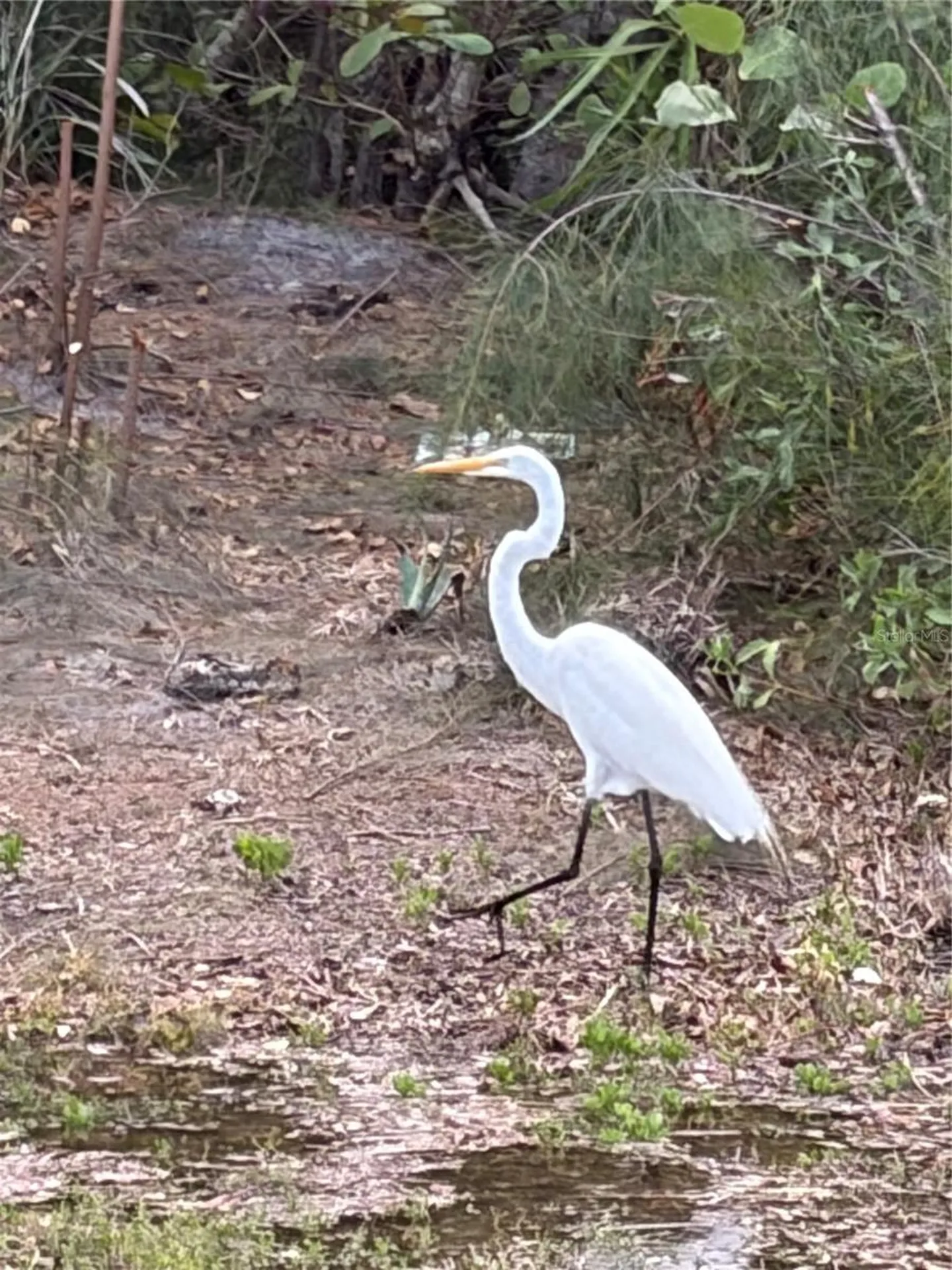 4300 Riverside Drive Punta Gorda FL 33982