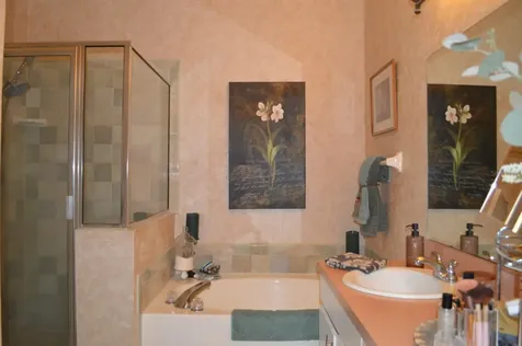 30114 Emmetts Court Wesley Chapel FL 33543