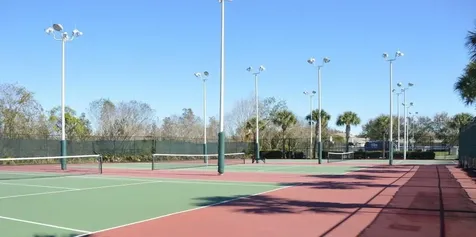 30114 Emmetts Court Wesley Chapel FL 33543