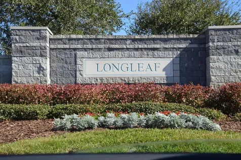 30114 Emmetts Court Wesley Chapel FL 33543