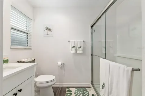 7487 Boyso Terrace The Villages FL 34762