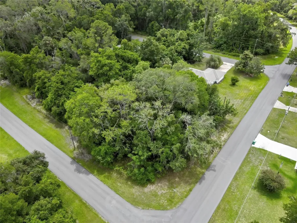 1074 W Maximilian Place Citrus Springs FL 34434