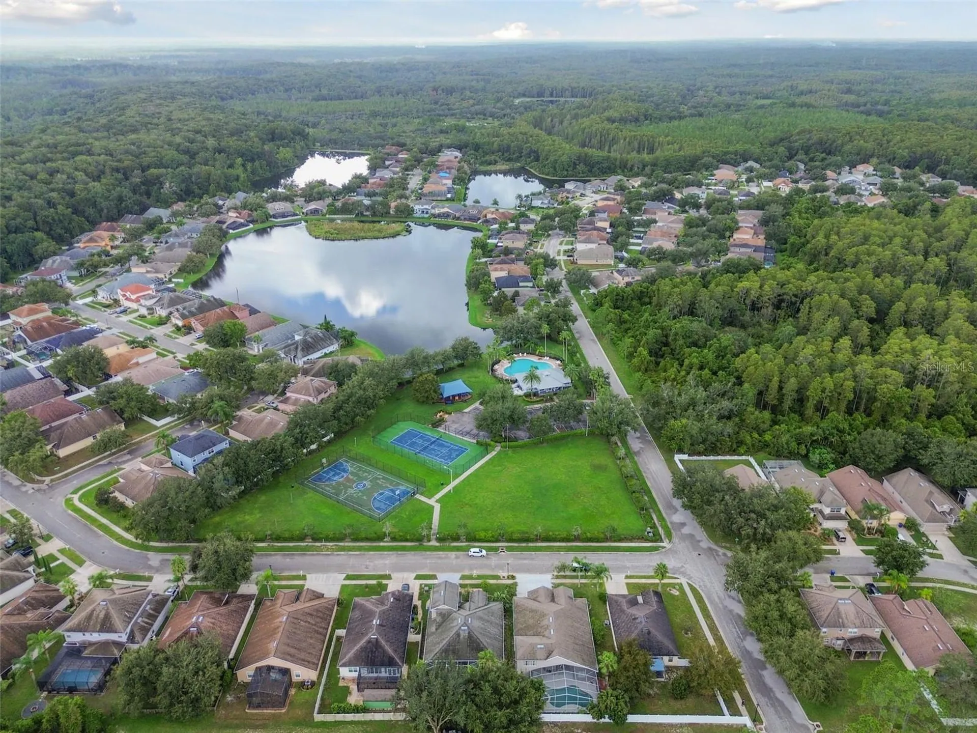 15907 Pond Rush Court Land O Lakes FL 34638