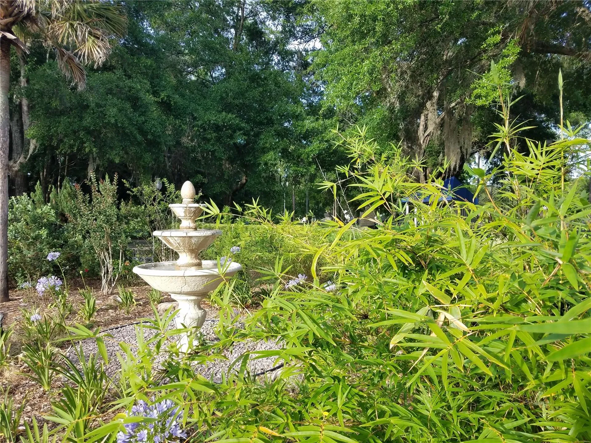 6847 SW 114th Street Road Ocala FL 34476
