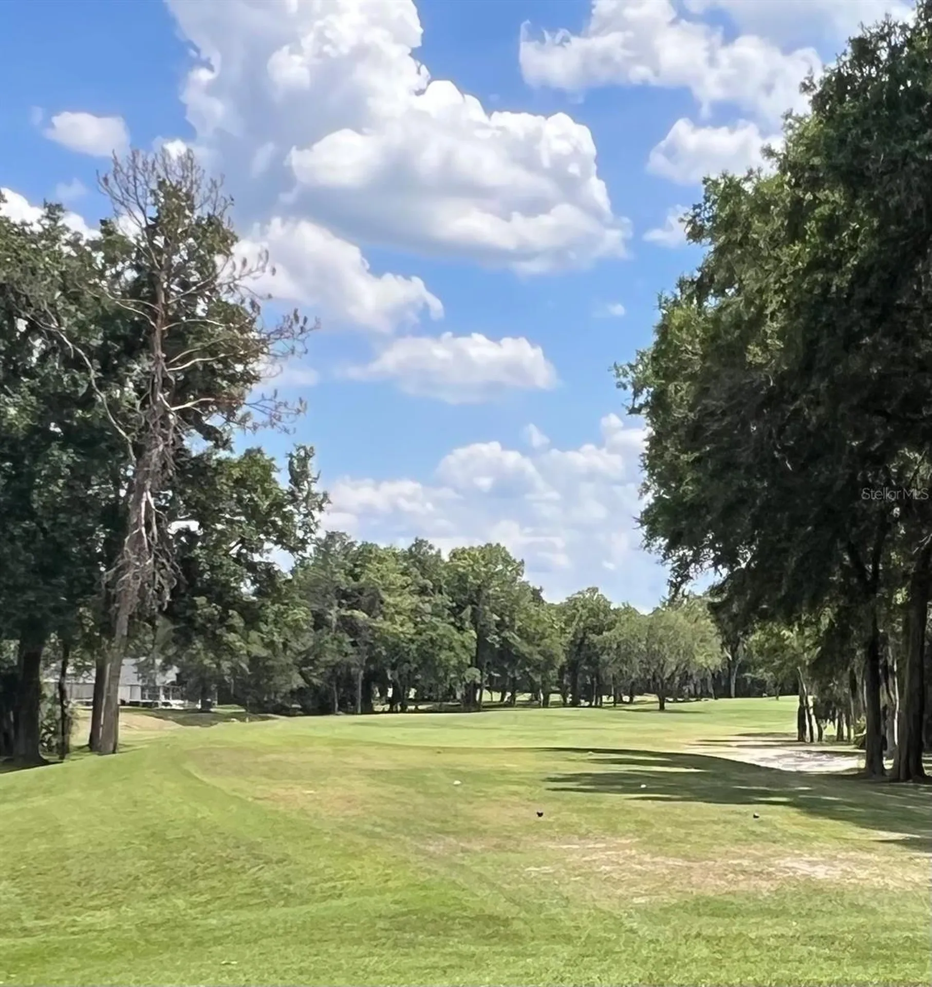 6847 SW 114th Street Road Ocala FL 34476