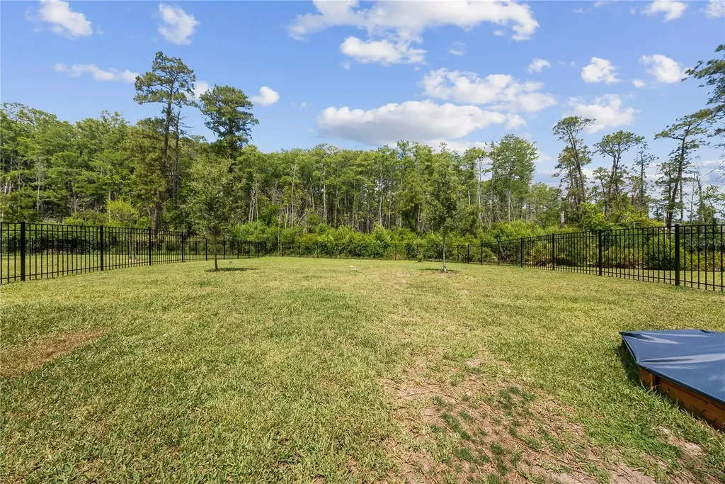 12918 Promise Place Orlando FL 32832