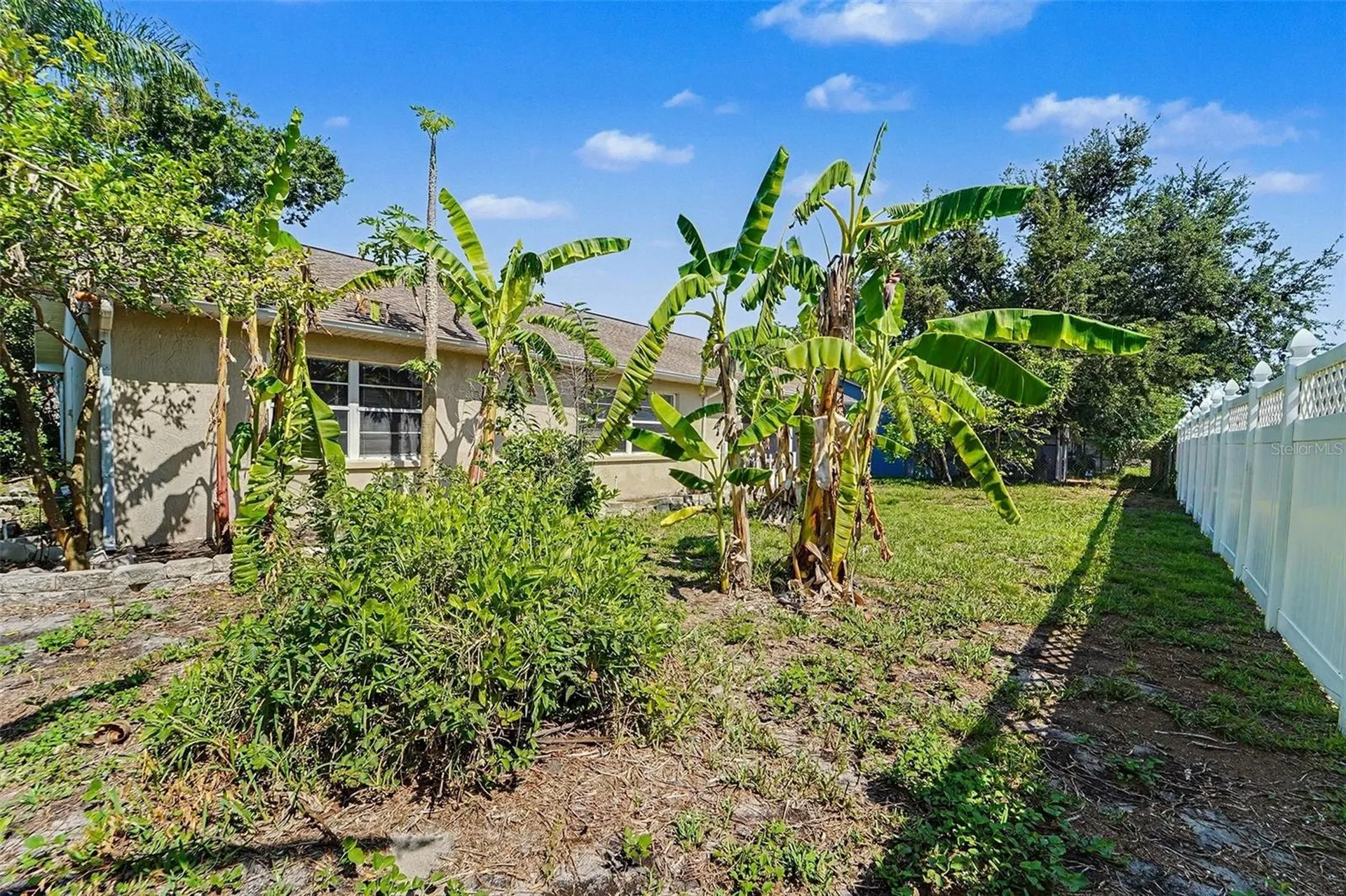 7336 Ashmore Drive New Port Richey FL 34653