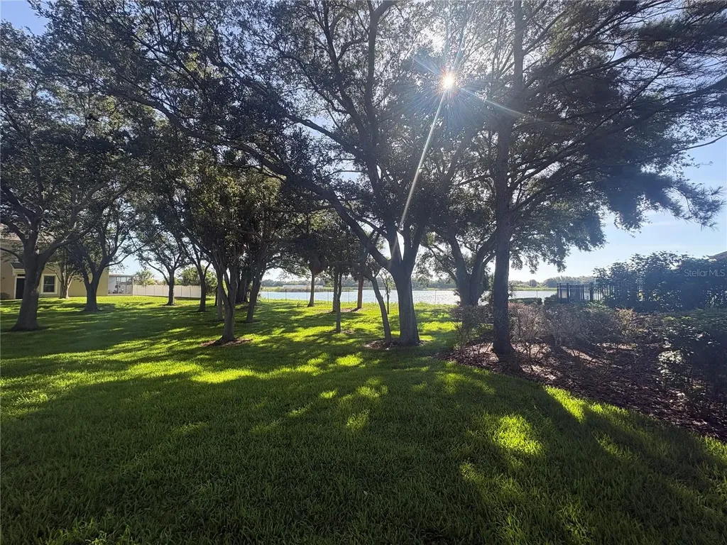4605 Barnstead Drive Riverview FL 33578