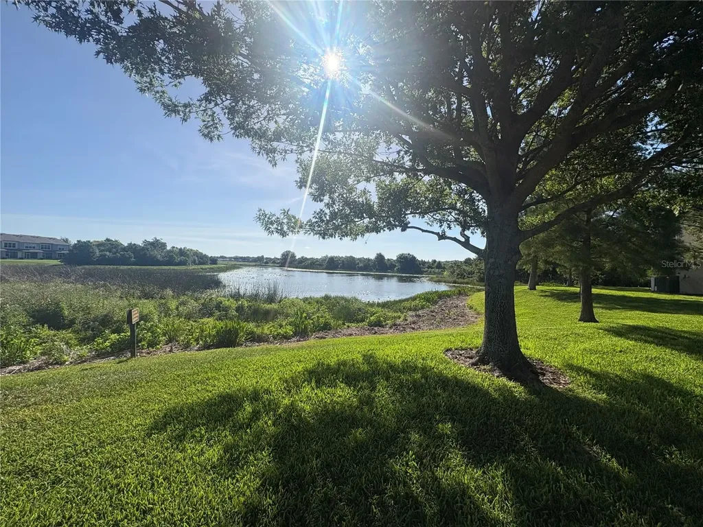 4605 Barnstead Drive Riverview FL 33578
