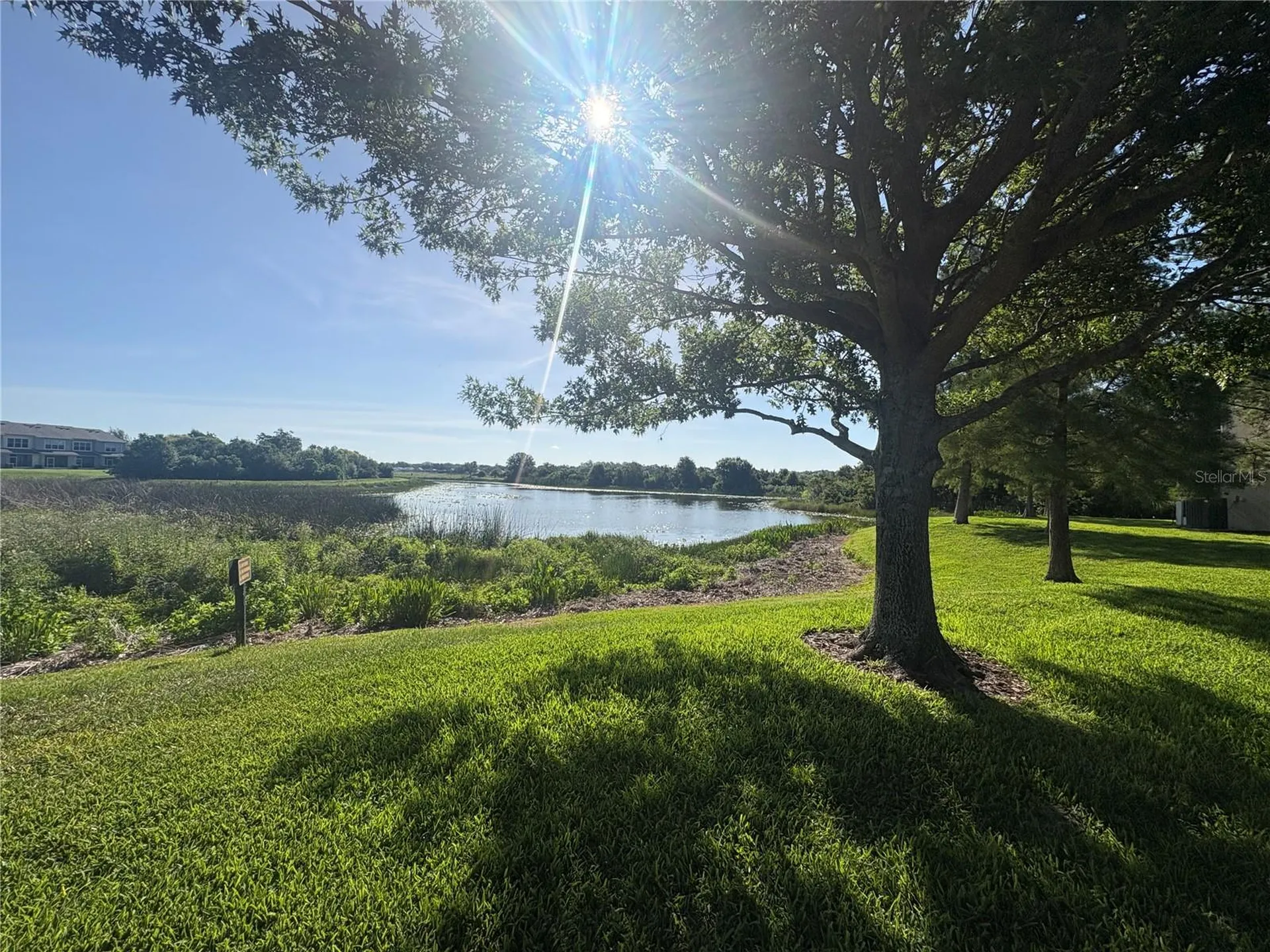 4605 Barnstead Drive Riverview FL 33578