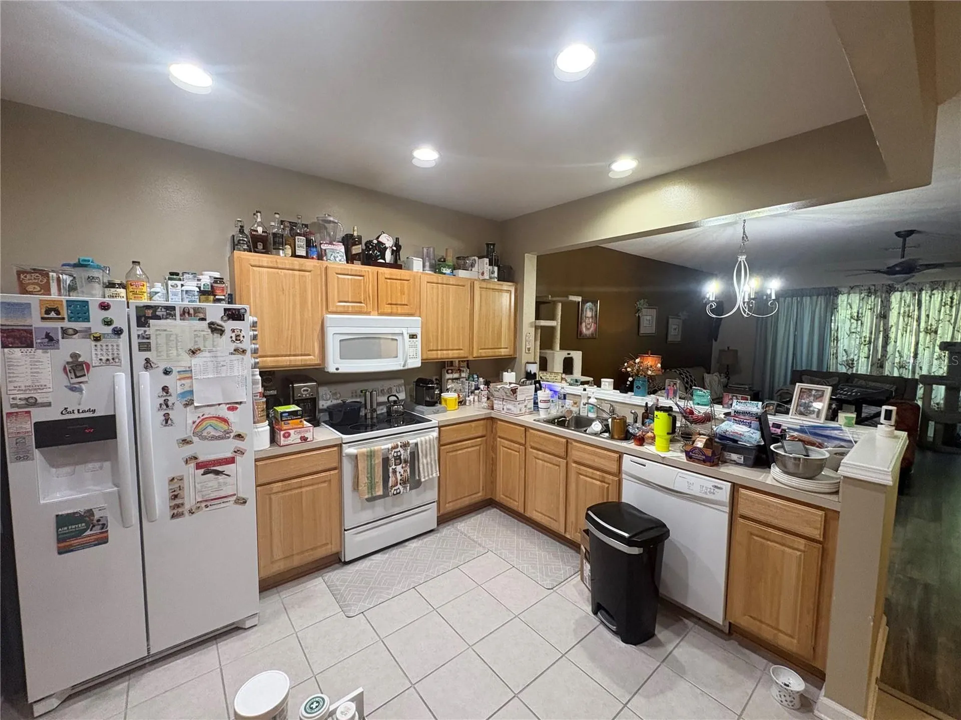 4605 Barnstead Drive Riverview FL 33578