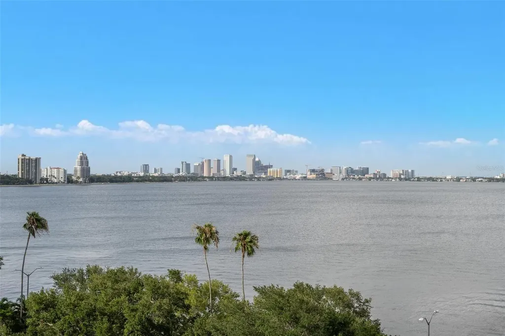 3507 Bayshore Boulevard Tampa FL 33629