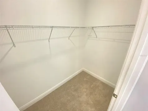 16751 Hamlin Vista Alley Winter Garden FL 34787