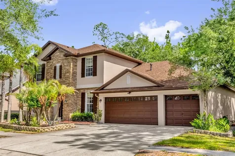 16117 Colchester Palms Drive Tampa FL 33647