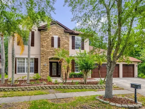 16117 Colchester Palms Drive Tampa FL 33647