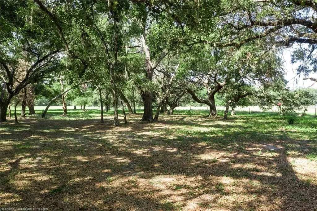 203 Boyer Street Venus FL 33960