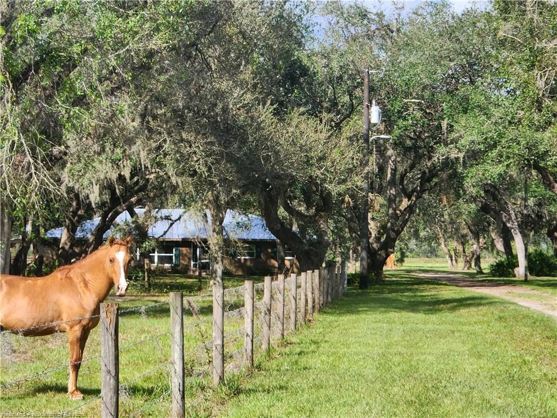 203 Boyer Street Venus FL 33960
