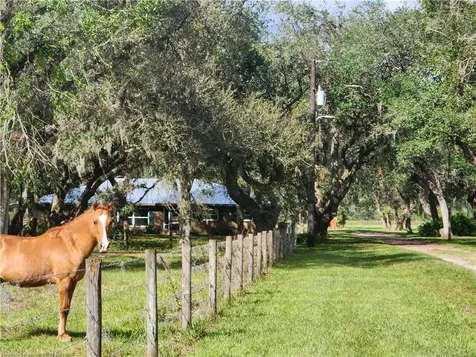 203 Boyer Street Venus FL 33960
