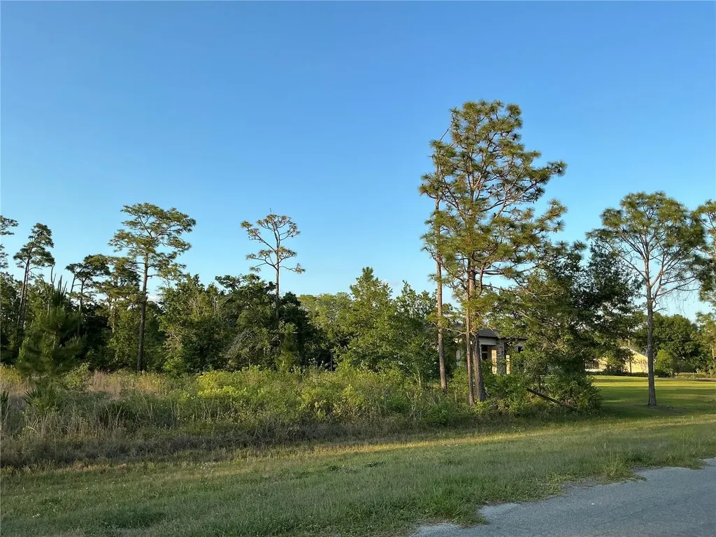 Reynolds Parkway Orlando FL 32833