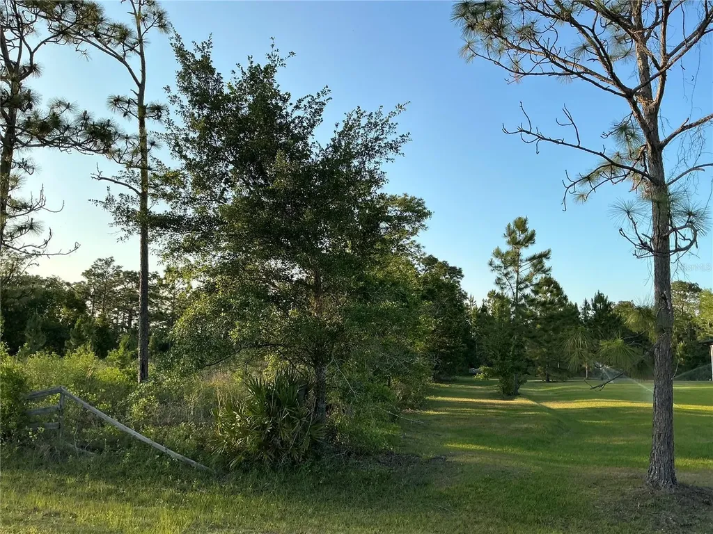 Reynolds Parkway Orlando FL 32833