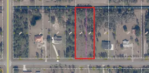 Reynolds Parkway Orlando FL 32833