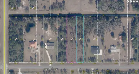 Reynolds Parkway Orlando FL 32833