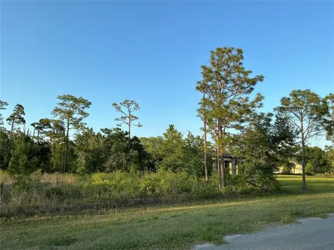 Reynolds Parkway Orlando FL 32833