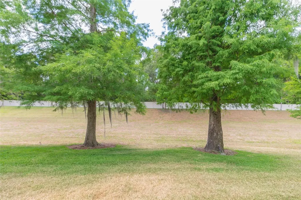 3152 Royal Tuscan Lane Valrico FL 33594