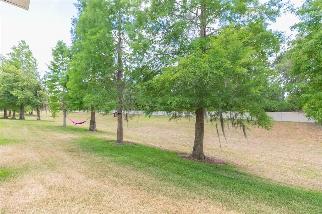 3152 Royal Tuscan Lane Valrico FL 33594