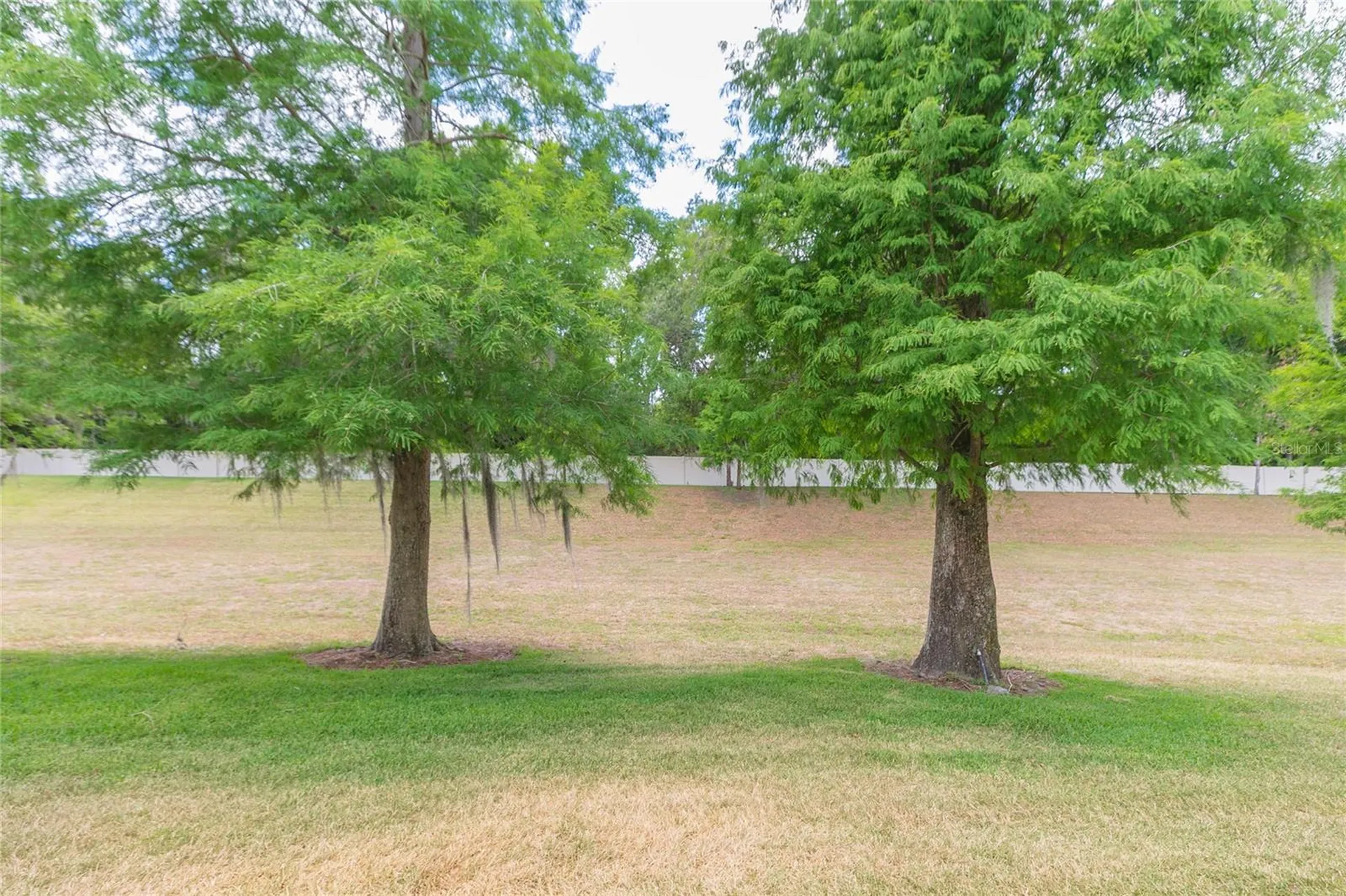3152 Royal Tuscan Lane Valrico FL 33594