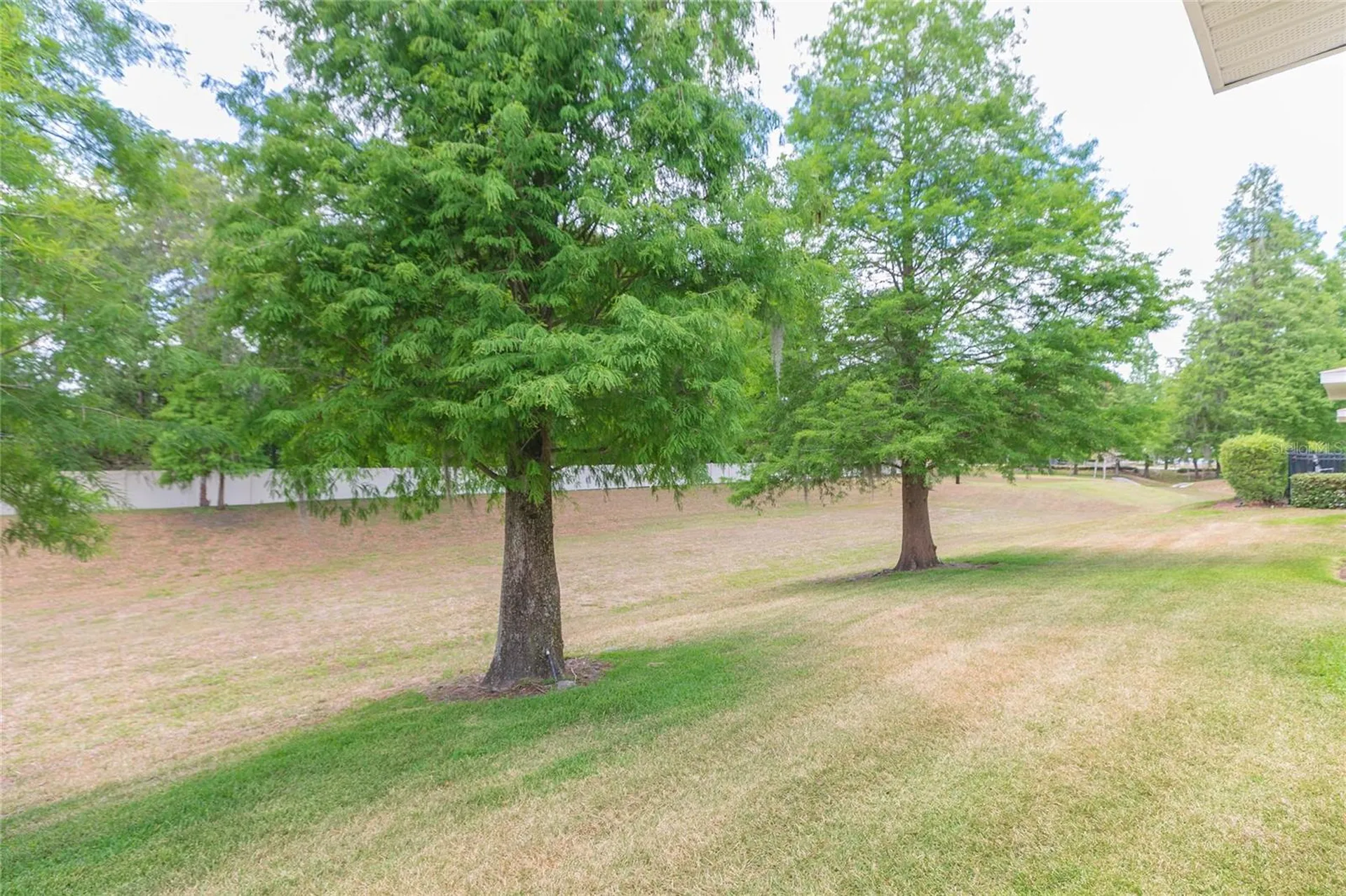 3152 Royal Tuscan Lane Valrico FL 33594