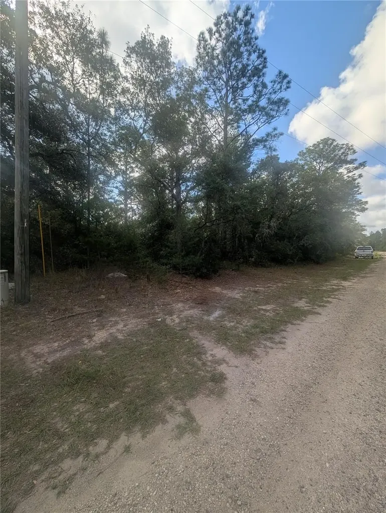 8791 N Folland Drive Dunnellon FL 34433